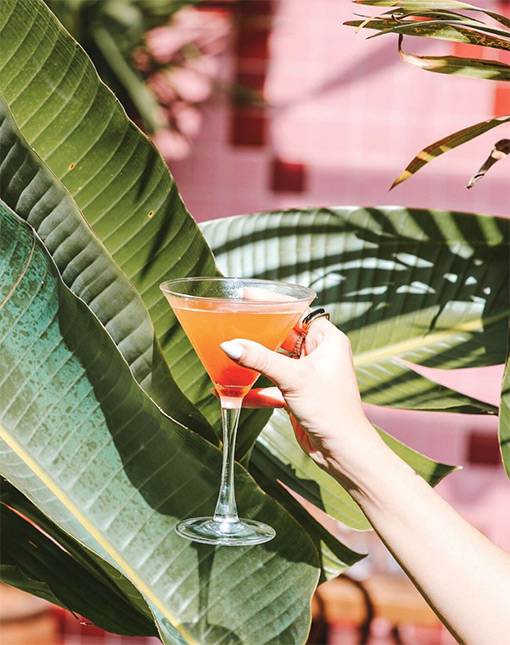 A cocktail in front of a palm tree to show Happy Hour happening at Orange Blossom Miami.