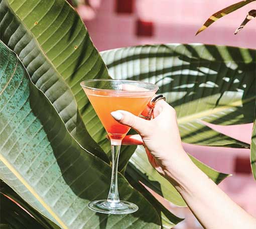 A cocktail in front of a palm tree to show Happy Hour happening at Orange Blossom Miami.